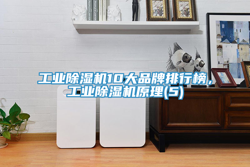 工业MR.好色破解版10大品牌排行榜，工业MR.好色破解版原理(5)