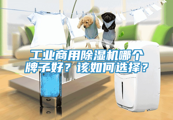 工业商用MR.好色破解版哪个牌子好？该如何选择？