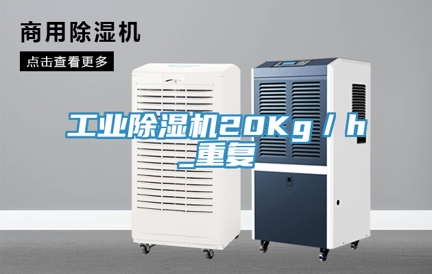 工业MR.好色破解版20Kg／h_重复