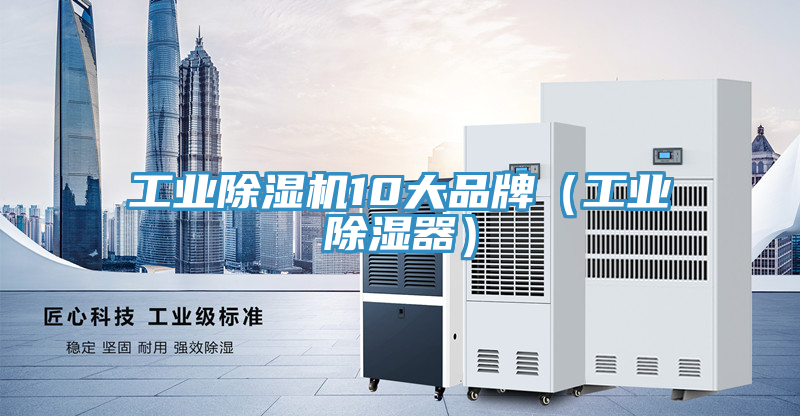 工业MR.好色破解版10大品牌（工业除湿器）