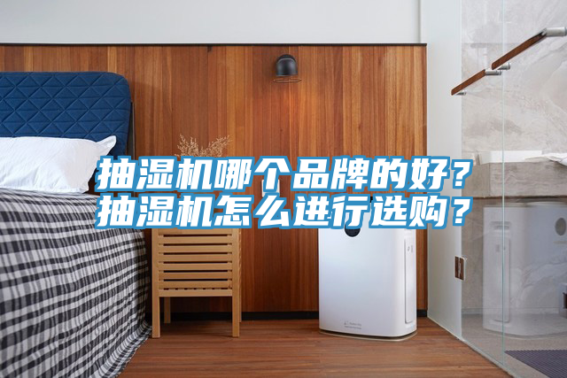 抽湿机哪个品牌的好？抽湿机怎么进行选购？
