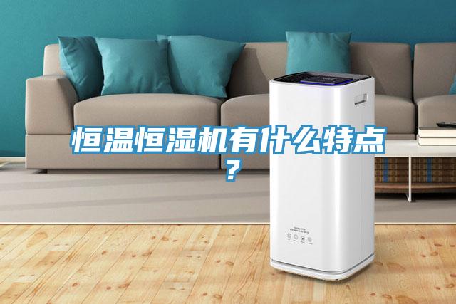恒温恒湿机有什么特点？