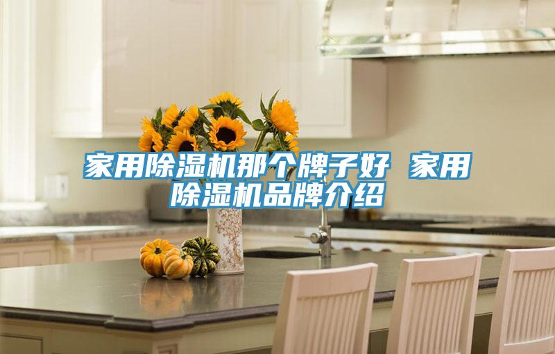 家用MR.好色破解版那个牌子好 家用MR.好色破解版品牌介绍