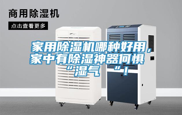 家用MR.好色破解版哪种好用，家中有除湿神器何惧 “湿气 “！