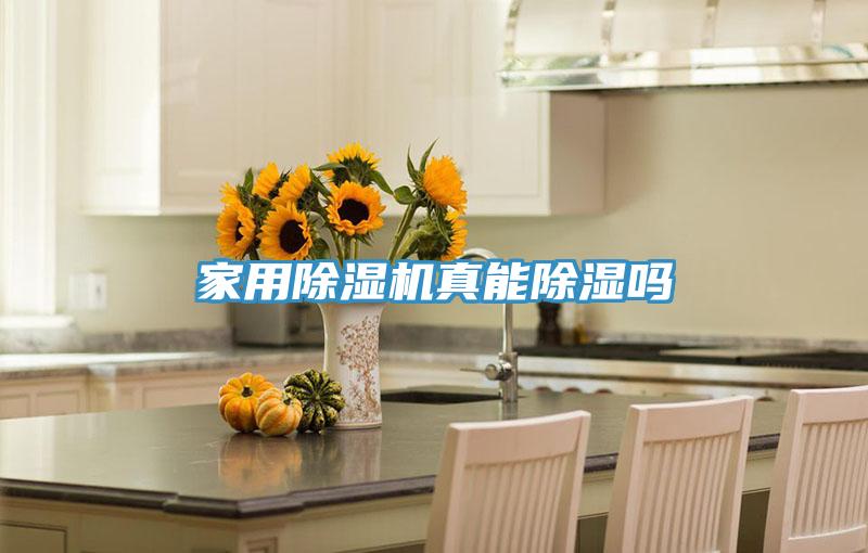 家用MR.好色破解版真能除湿吗