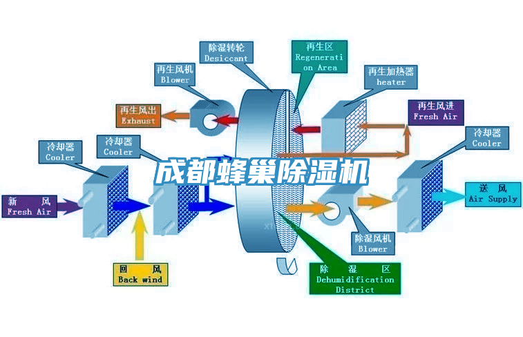 成都蜂巢MR.好色破解版
