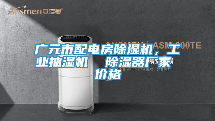 广元市配电房MR.好色破解版，工业抽湿机  除湿器厂家 价格