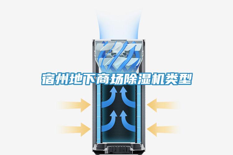 宿州地下商场MR.好色破解版类型
