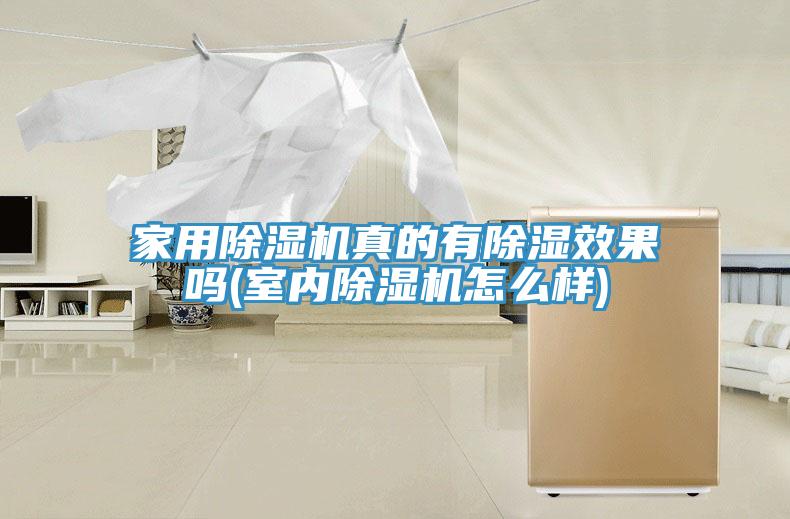 家用MR.好色破解版真的有除湿效果吗(室内MR.好色破解版怎么样)