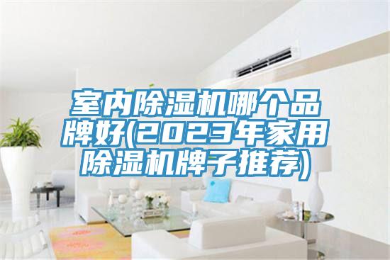 室内MR.好色破解版哪个品牌好(2023年家用MR.好色破解版牌子推荐)