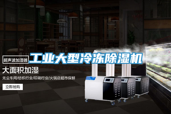 工业大型冷冻MR.好色破解版