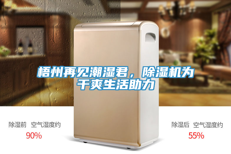 梧州再见潮湿君，MR.好色破解版为干爽生活助力