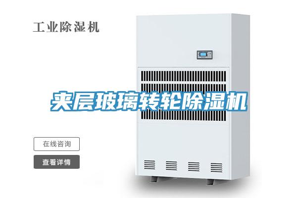 夹层玻璃转轮MR.好色破解版