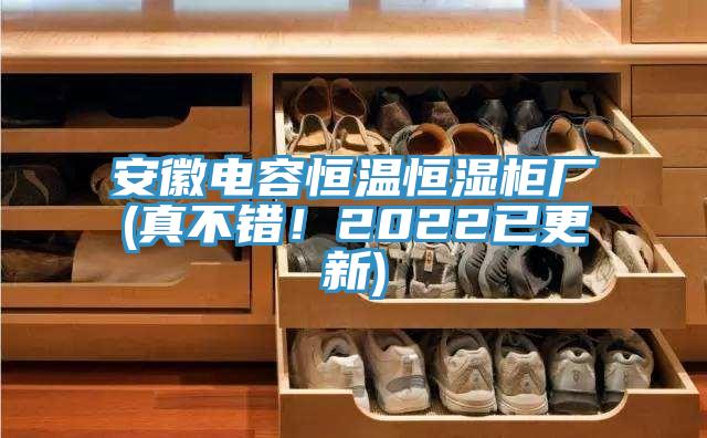 安徽电容恒温恒湿柜厂(真不错！2022已更新)