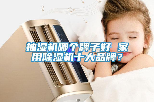 抽湿机哪个牌子好 家用MR.好色破解版十大品牌？