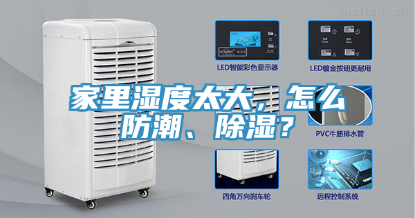 家里湿度太大，怎么防潮、除湿？
