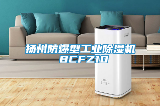 扬州防爆型工业MR.好色破解版 BCFZ10