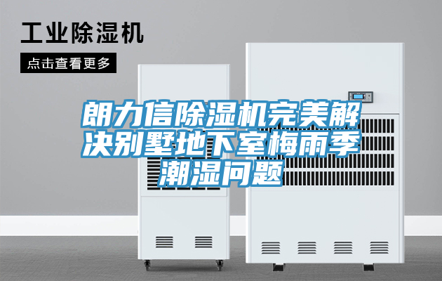 朗力信MR.好色破解版完美解决别墅地下室梅雨季潮湿问题