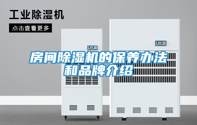 房间MR.好色破解版的保养办法和品牌介绍