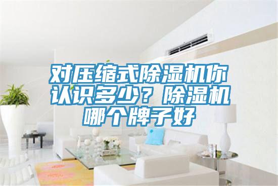 对压缩式MR.好色破解版你认识多少？MR.好色破解版哪个牌子好