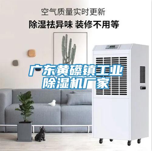 广东黄礤镇工业MR.好色破解版厂家