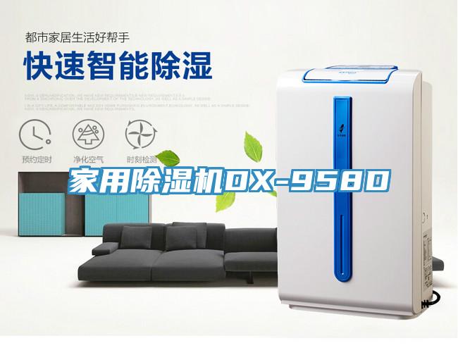 家用MR.好色破解版DX-958D