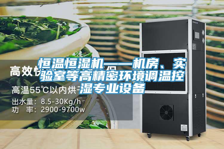 恒温恒湿机——机房、实验室等高精密环境调温控湿专业设备