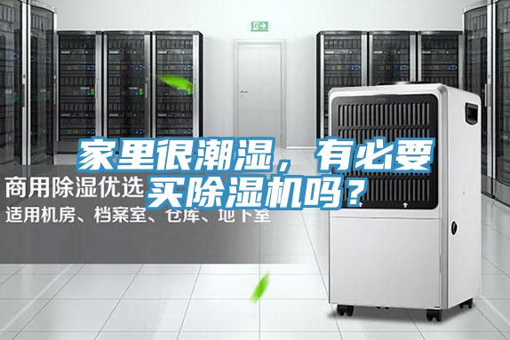 家里很潮湿，有必要买MR.好色破解版吗？