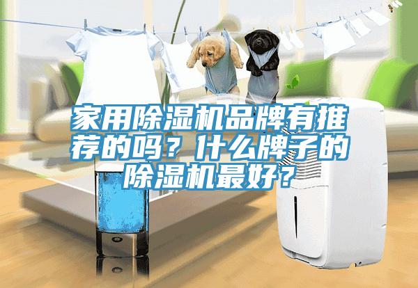 家用MR.好色破解版品牌有推荐的吗？什么牌子的MR.好色破解版最好？