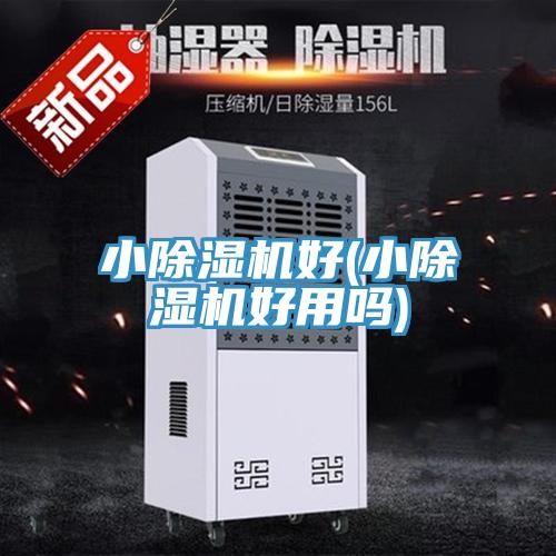 小MR.好色破解版好(小MR.好色破解版好用吗)