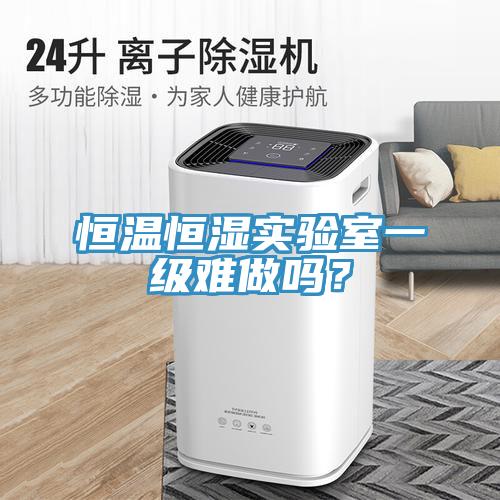 恒温恒湿实验室一级难做吗？