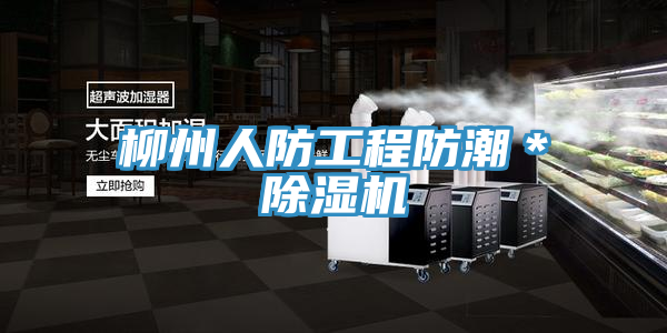 柳州人防工程防潮＊MR.好色破解版