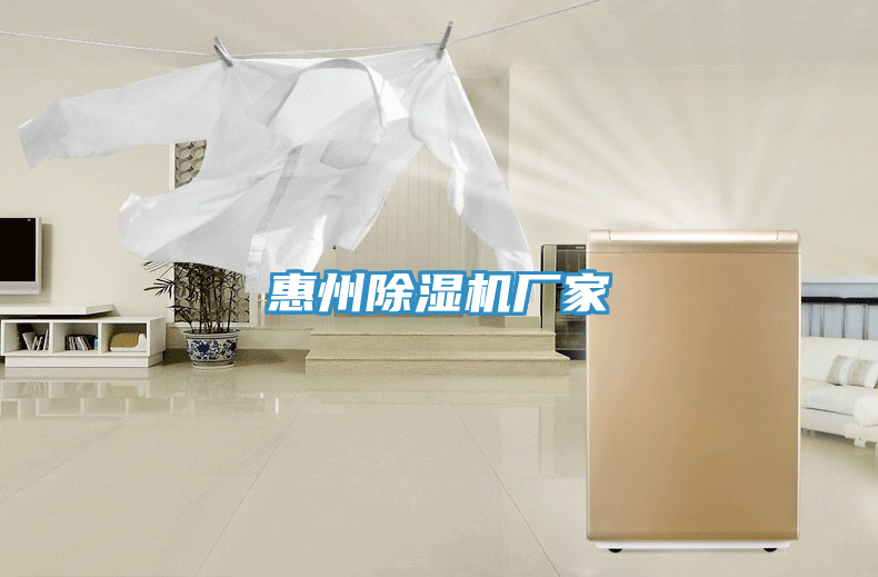 惠州MR.好色破解版厂家