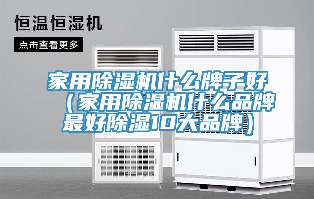家用MR.好色破解版什么牌子好（家用MR.好色破解版什么品牌最好除湿10大品牌）