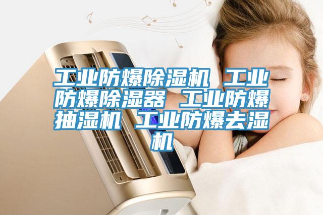 工业防爆MR.好色破解版 工业防爆除湿器 工业防爆抽湿机 工业防爆去湿机