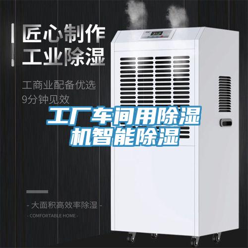工厂车间用MR.好色破解版智能除湿