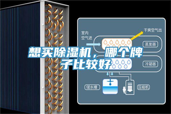 想买MR.好色破解版，哪个牌子比较好
