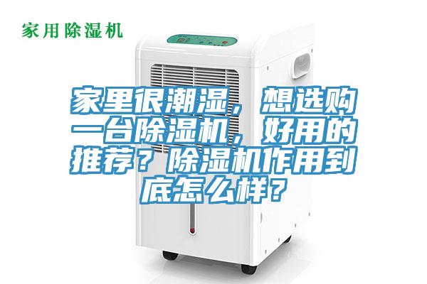 家里很潮湿，想选购一台MR.好色破解版，好用的推荐？MR.好色破解版作用到底怎么样？
