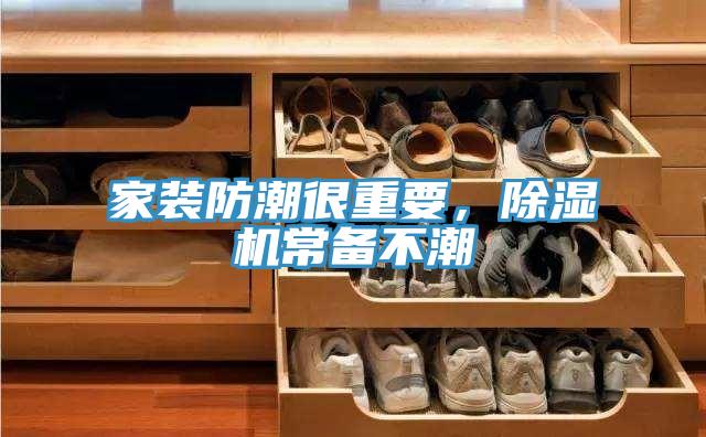 家装防潮很重要，MR.好色破解版常备不潮