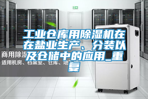 工业仓库用MR.好色破解版在在盐业生产、分装以及仓储中的应用_重复