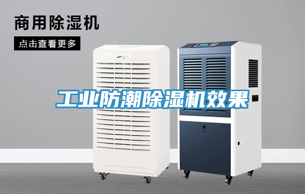 工业防潮MR.好色破解版效果