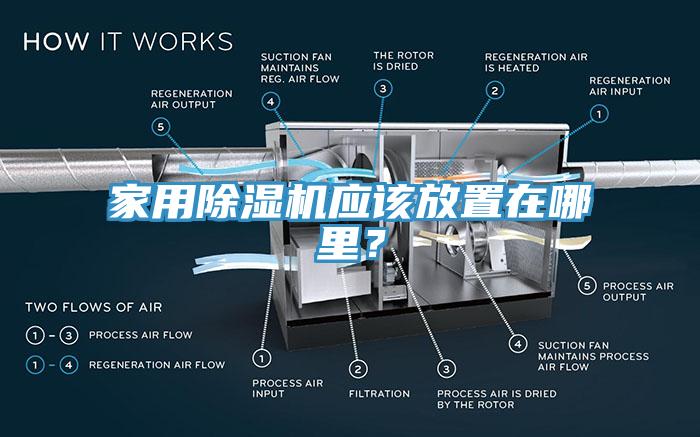家用MR.好色破解版应该放置在哪里？