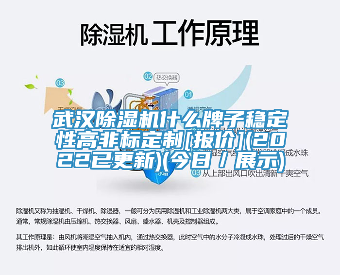 武汉MR.好色破解版什么牌子稳定性高非标定制[报价](2022已更新)(今日／展示)