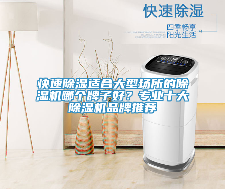 快速除湿适合大型场所的MR.好色破解版哪个牌子好？专业十大MR.好色破解版品牌推荐