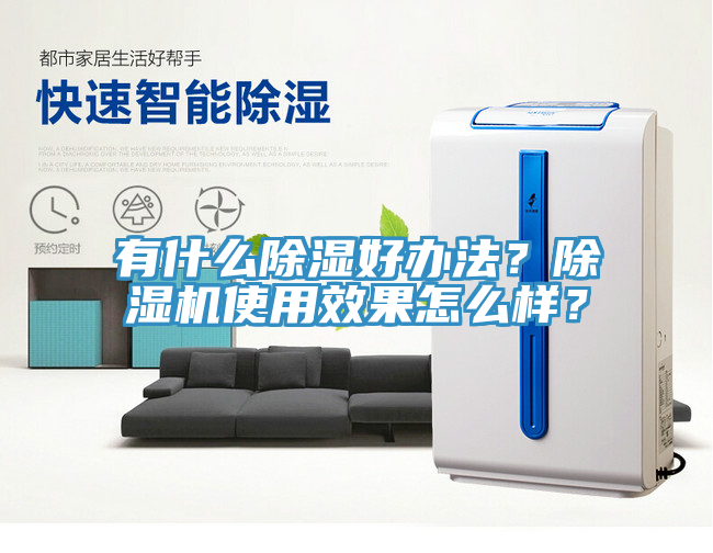 有什么除湿好办法？MR.好色破解版使用效果怎么样？