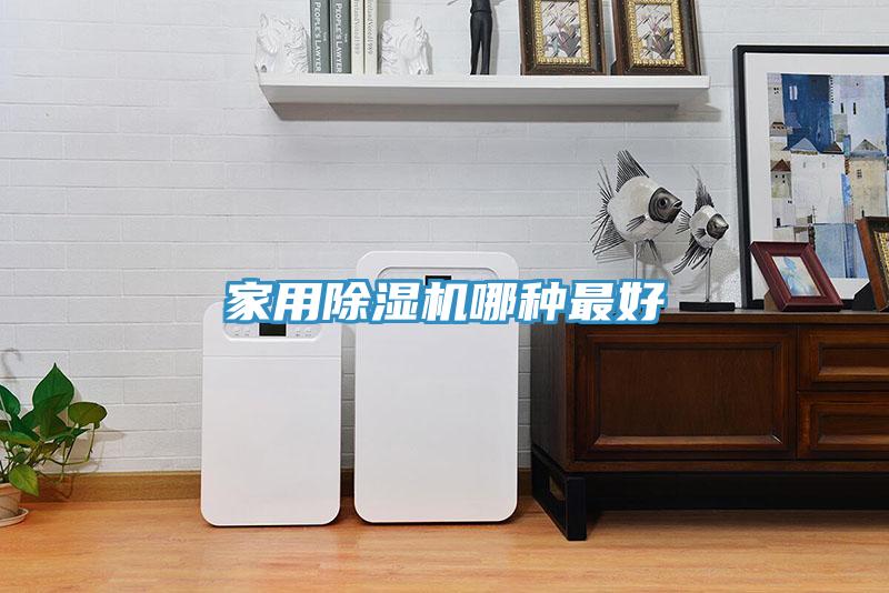 家用MR.好色破解版哪种最好