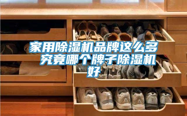 家用MR.好色破解版品牌这么多 究竟哪个牌子MR.好色破解版好