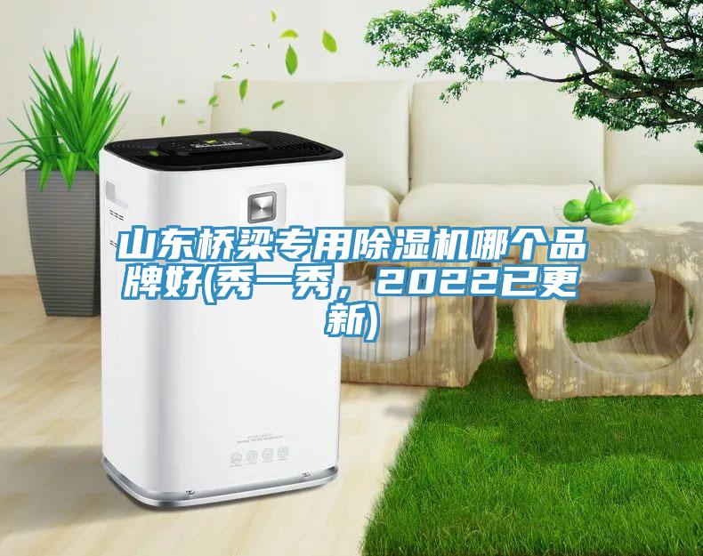 山东桥梁专用MR.好色破解版哪个品牌好(秀一秀，2022已更新)