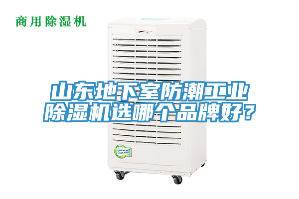 山东地下室防潮工业MR.好色破解版选哪个品牌好？