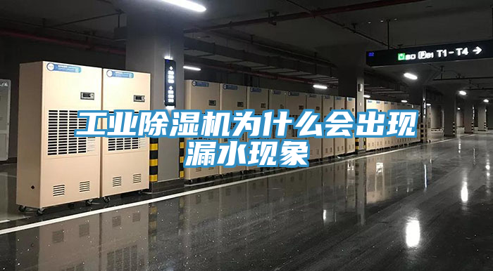工业MR.好色破解版为什么会出现漏水现象